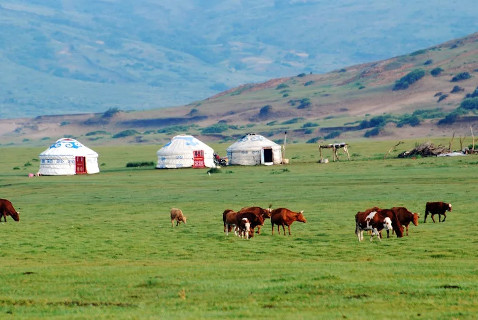Cérémonie de mariage en Kazakhstan