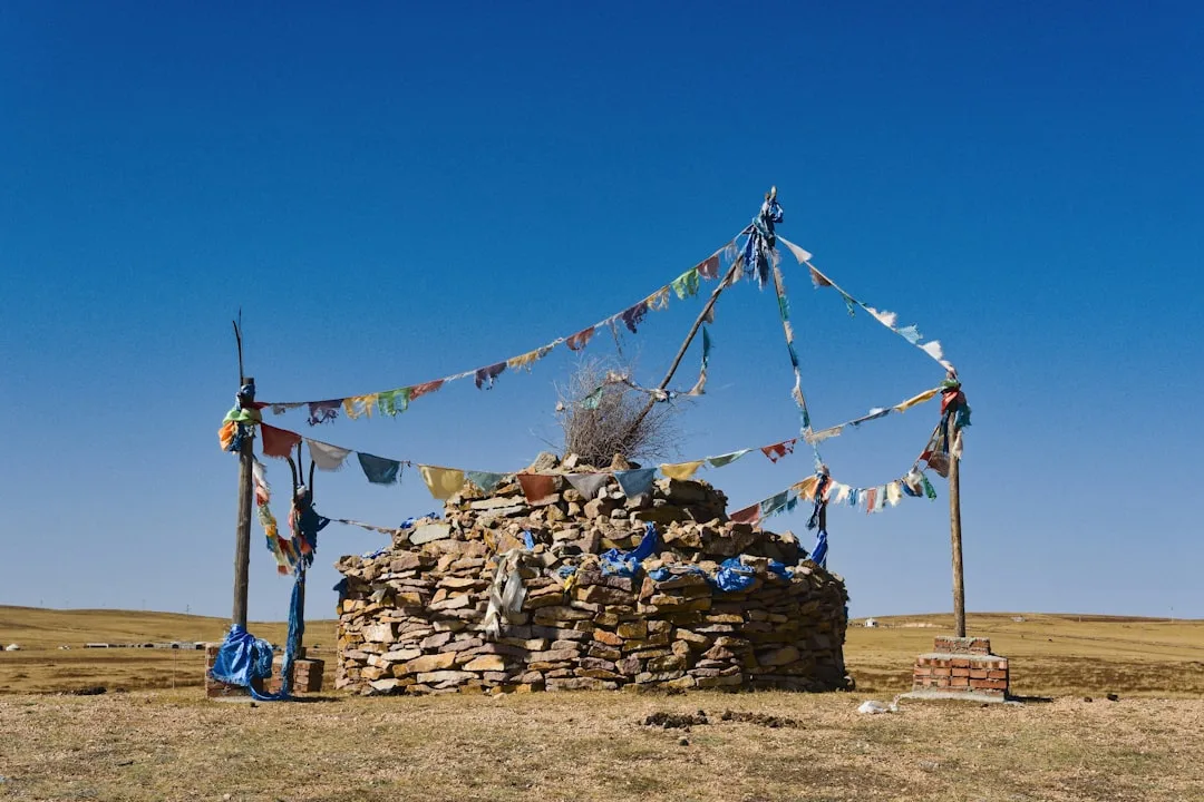 Cérémonie de mariage en Mongolie — vue 4