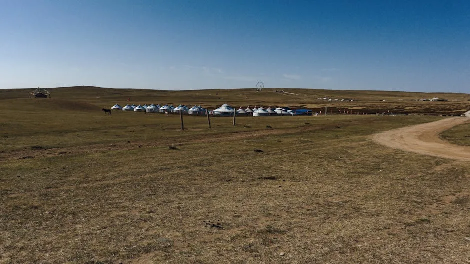 Cérémonie de mariage en Mongolie